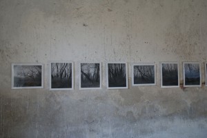 I. Krauss, Photos vom inneren Friedhof, März 2014, Ausstellungsausschnitt