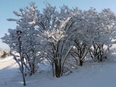 Pflaumenweg, verschneit / Plum path, snowy, Eggersdorf, Foto: E. Hartwig, 14.02.2025 (_001-1)