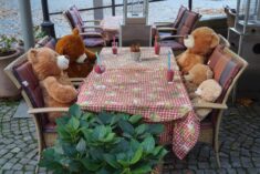 Familienausflug, Foto: E. Hartwig, 21.10.2025